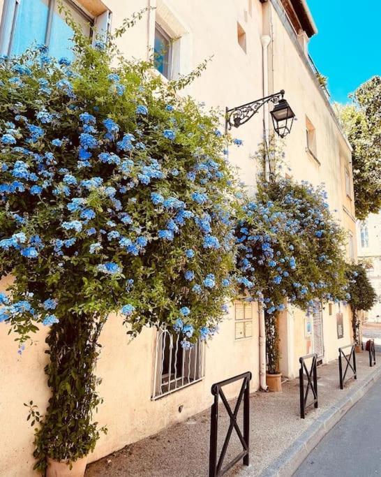 "Appart Aux Fleurs Bleus" Arles Fondation Van Gogh Exterior foto
